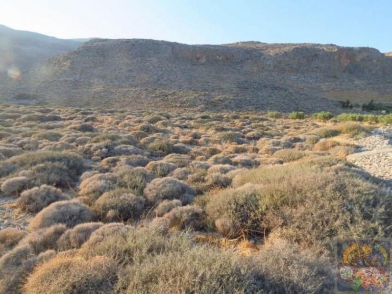 Xerokampos Süd Ost Kreta, Xerokampos Wunderschönes Grundstück ca. 7.500qm mit Meerblick Grundstück kaufen